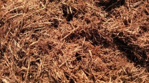 Cedar Mulch