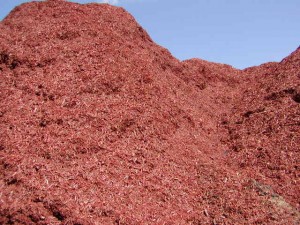 Red Mulch