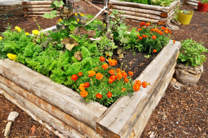 raised flower bed