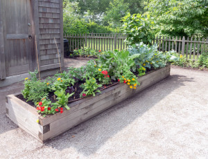 Raised vegetable garden