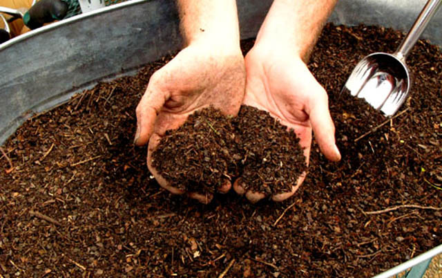 Black Gold Sifted Compost